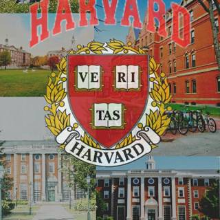 Harvard aesthetic wallpaper