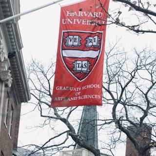 Harvard aesthetic wallpaper