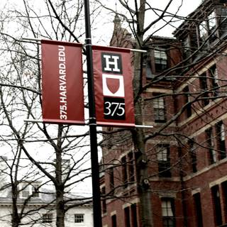 Harvard aesthetic wallpaper