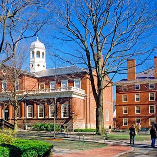 Harvard aesthetic wallpaper