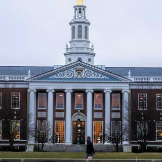 Harvard aesthetic wallpaper