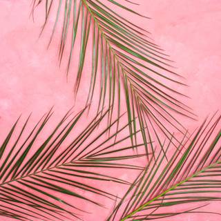 Pastel summer laptop wallpaper