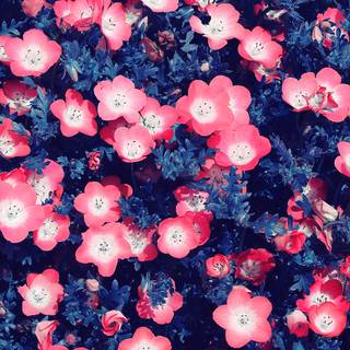 Glittery spring wallpaper