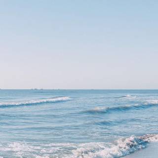 iPhone Pro Max summer wallpaper