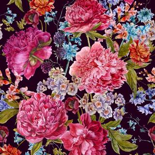 Summer florals wallpaper