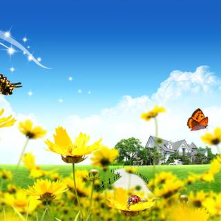 Cool summer landscapes wallpaper