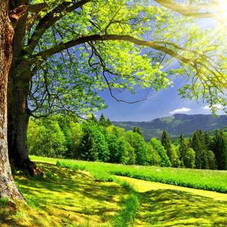 Cool summer landscapes wallpaper