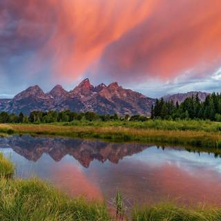 iPhone Pro Max summer wallpaper