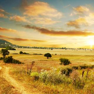 Cool summer landscapes wallpaper