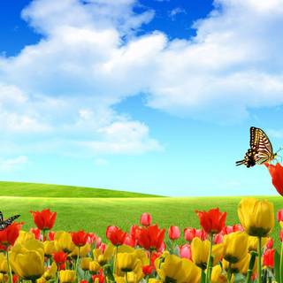 Cool summer landscapes wallpaper