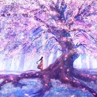 Sakura forest wallpaper