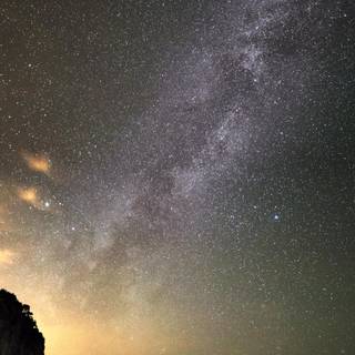 Vertical screen wallpaper