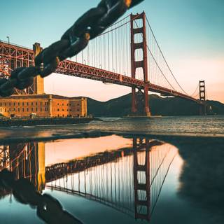 Vertical screen wallpaper