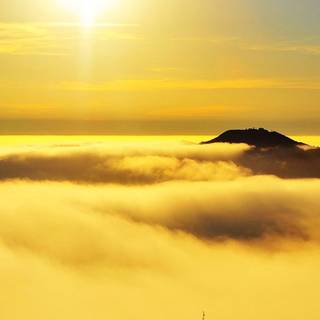 Vertical screen wallpaper