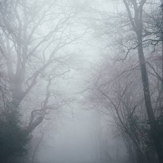 Evil ghost wallpaper