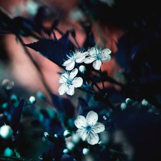 Unrealistic wallpaper