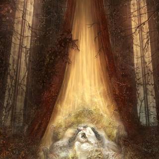 Dark Souls mobile wallpaper