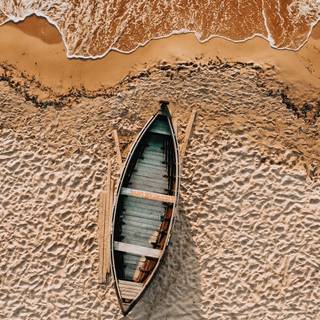 Brown white wallpaper