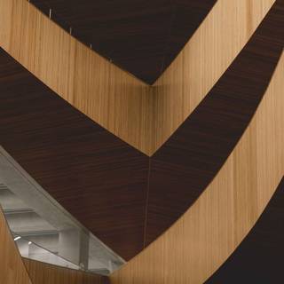 Brown white wallpaper