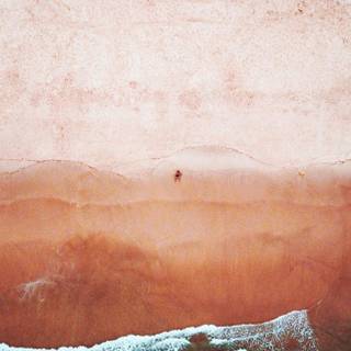 Brown white wallpaper