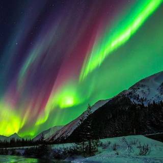 Northern lights iPhone 14 Pro wallpaper