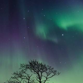 Northern lights iPhone 14 Pro wallpaper