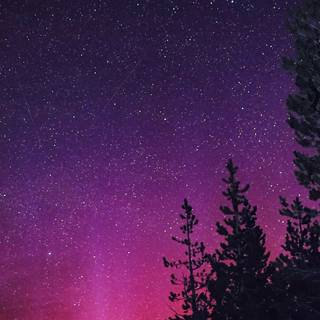 Northern lights iPhone 14 Pro wallpaper