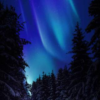 Northern lights iPhone 14 Pro wallpaper