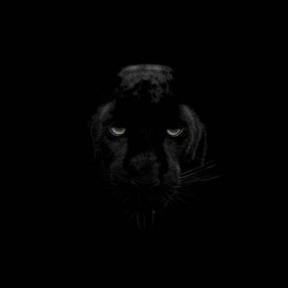 Minimal black animal wallpaper