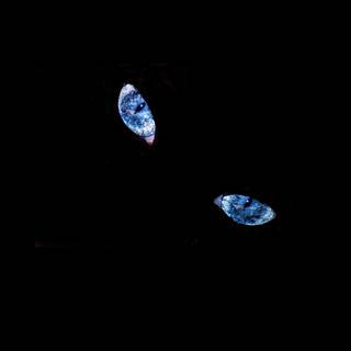 Minimal black animal wallpaper