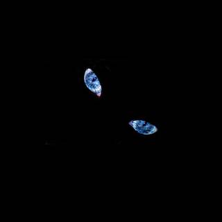 Minimal black animal wallpaper