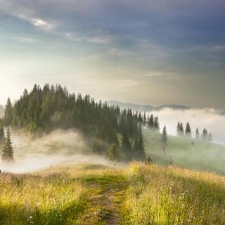 Foggy spring mountains wallpaper