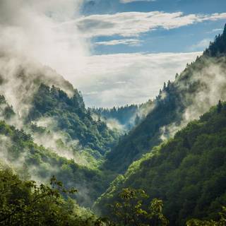Foggy spring mountains wallpaper