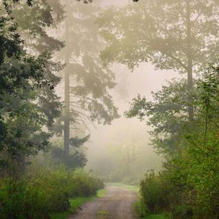 Foggy spring mountains wallpaper