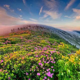 Foggy spring mountains wallpaper