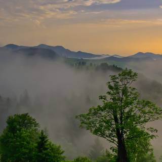 Foggy spring mountains wallpaper