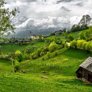 Green village wallpaper