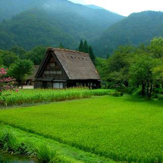 Green village wallpaper