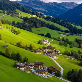 Green village wallpaper