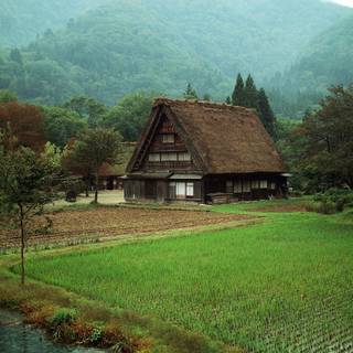 Green village wallpaper