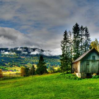 Green village wallpaper