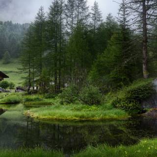 Green village wallpaper