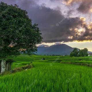 Green village wallpaper