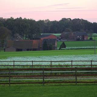 Green village wallpaper