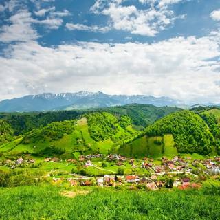 Green village wallpaper