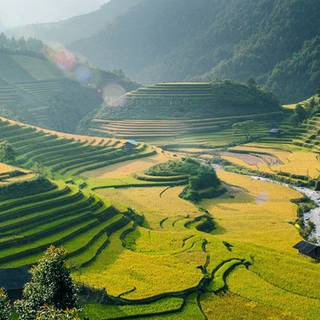 Green village wallpaper