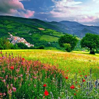 Green village wallpaper