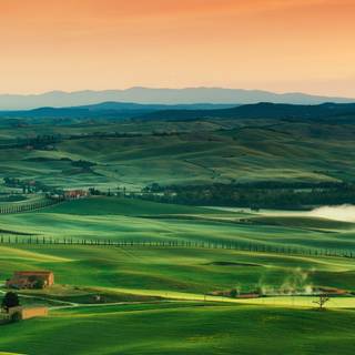 Green village wallpaper