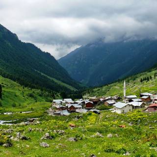 Green village wallpaper