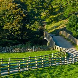 Green village wallpaper